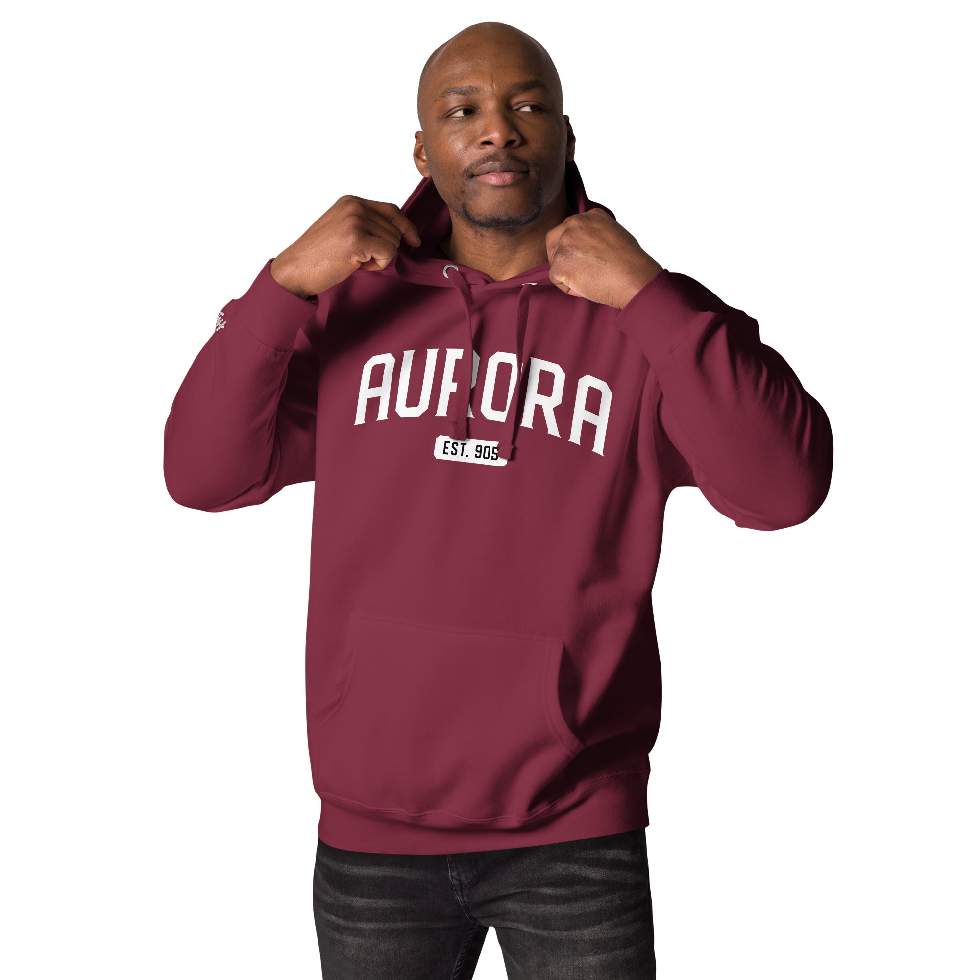 AURORA | Suburban Calm, Premium Chaos | Unisex Hoodie | Hood Co.